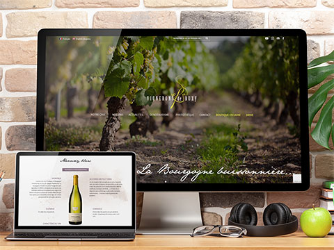 vignerons de buxy site internet